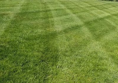 Wrenn's Lawn Service in Hickory, North Carolina - Yard mowing, trimming, mulching, landscaping, yard debris removal, gutter cleaning & routine maintenance.