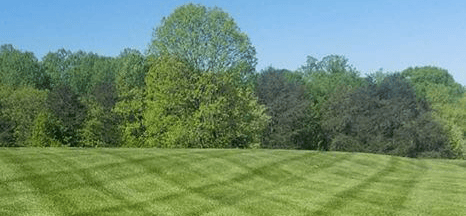 Wrenn's Lawn Service in Hickory, North Carolina - Yard mowing, trimming, mulching, landscaping, yard debris removal, gutter cleaning & routine maintenance.